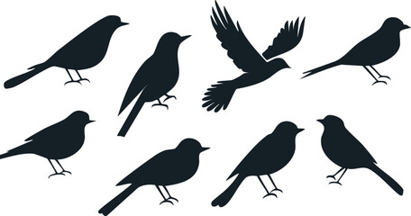 Fototapeta premium Vector Silhouetted Birds in Flight and Perched on White Background in Minimalist Graphic Style