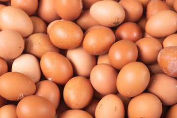 group of fresh eggs