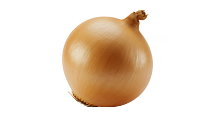 Isolated Kiwi Fruit Displaying Rich Brown Fuzz Texture Transparent Background