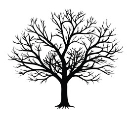 Obraz premium 2 Stark bare tree silhouette, intricate branching pattern, black and white illustration, graphic design style, minimalist artwork, winter landscape element, high contrast, isolated on white background