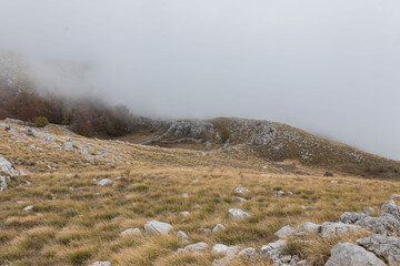 Rolling hills lead into a mist-shrouded forest with ancient rock walls curving through the golden...