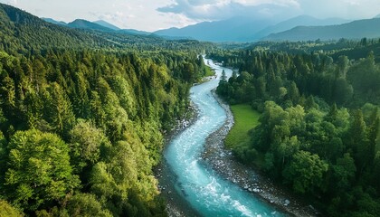 aerial view of a river flowing through a lush forest