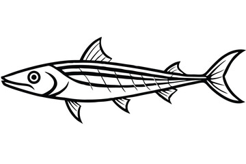 Black and White Line Drawing of a Barracuda Fish Illustration with Detailed Fins