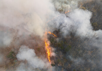 Wildfires release carbon dioxide (CO2) emissions and other greenhouse gases (GHG) that contribute to climate change.