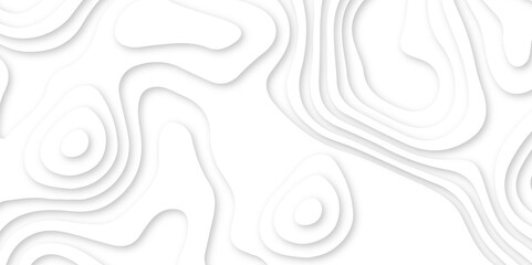 Abstract wavy line 3d paper cut white background. white and gray luxury grid topography map and satin smooth wallpaper matt paper light texture. White waves decorative papercut design.