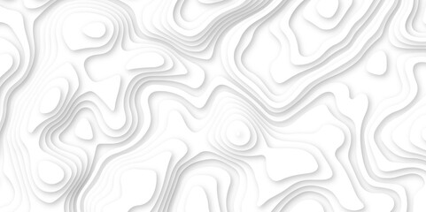 Abstract wavy line 3d paper cut white background. white and gray luxury grid topography map and satin smooth wallpaper matt paper light texture. White waves decorative papercut design.