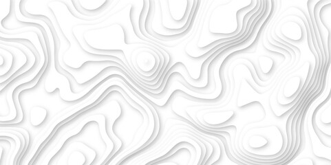 Abstract wavy line 3d paper cut white background. white and gray luxury grid topography map and satin smooth wallpaper matt paper light texture. White waves decorative papercut design.