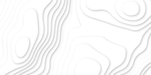 Abstract wavy line 3d paper cut white background. white and gray luxury grid topography map and satin smooth wallpaper matt paper light texture. White waves decorative papercut design.