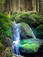 View of a cascade of small waterfalls on a forest stream.
