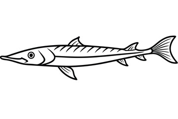 Outline Illustration of a Barracuda Fish Showing Fins, Scales and Tail Detail