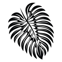 Monstera Deliciosa Leaf Silhouette, Exotic Foliage, Tropical Plant, Black and White