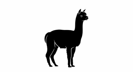 Majestic Alpaca Silhouette Elegant Black and White Animal Illustration