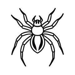 Obraz premium Desert Widow