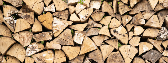 Stack of trees wooden stumps in cross section texture background banner