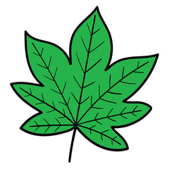Hand drawn cartoon green leaf on white background.