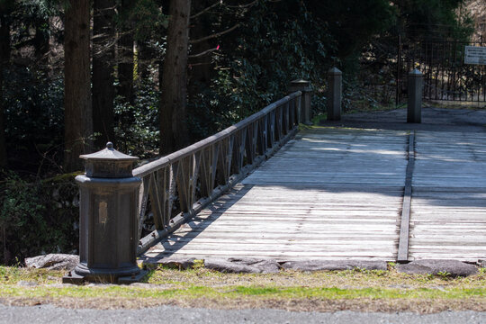 walking in the park