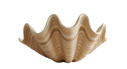 Isolated Shell Transparent Background Seashell Beach Aquatic Nature