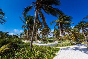 Beautiful Tulum beach  in Mexico