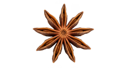 Isolated Star Anise Spice Aromatic Ingredient on Transparent Background