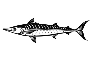 Black and White Illustration of a Barracuda Fish with Distinct Markings and Sharp Fins