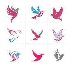 Fototapeta premium Dove icon vector set 1
