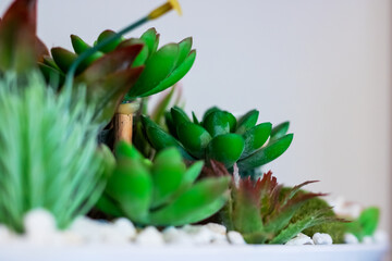 A potted plant that has vibrant green leaves and a bright yellow flower