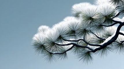 Naklejka premium Snowy pine tree silhouette in a winter wilderness