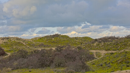 Dune landscape  in the Westhoek nature reserve under a cloudy winter sky. De Panne, Flanders, Belgium
