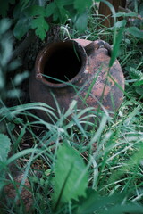 clay pot in the garden