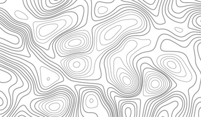 Topographic Background. Abstract wavy and curved lines background. Abstract pattern with Lines. Background of the Topographic Map. Abstract Topographic Map Lines. Monochrome Terrain Lines Art.