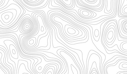 Topographic Background. Abstract wavy and curved lines background. Abstract pattern with Lines. Background of the Topographic Map. Abstract Topographic Map Lines. Monochrome Terrain Lines Art.