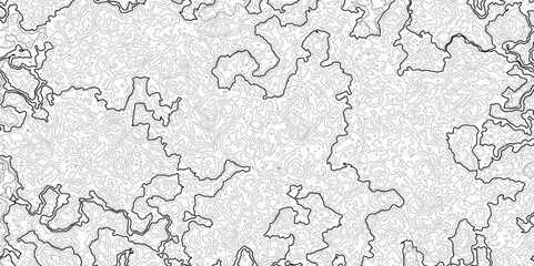 Topographic Background. Abstract wavy and curved lines background. Abstract pattern with Lines. Background of the Topographic Map. Abstract Topographic Map Lines. Monochrome Terrain Lines Art.