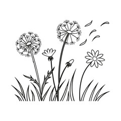 Obraz premium Outline of dandelions and chamomile in field arran