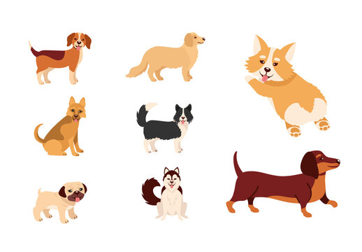 Black And Brown Dog Puppy Labrador Husky Funny Illustrations Set