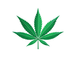 Cannabis leaf illustration isolated on white background
