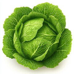 Obraz premium Fresh green cabbage with vibrant leaves, perfect for healthy meals.