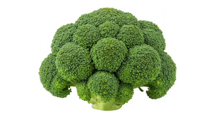 Isolated Transparent Broccoli Head Vegetable Food Green Still Life