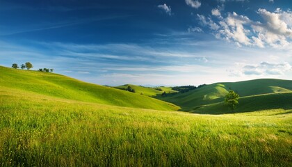 Fototapeta premium summer meadow landscape with green hills and blue sky