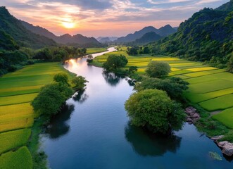 Obraz premium A picturesque landscape of Vietnam's vibrant rice fields and mountains, bathed in the golden glow of sunset.