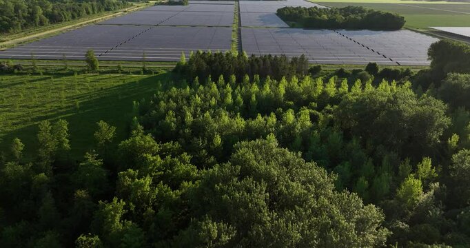 large field of solar panels, industrial scale, renewable energy, electricity from the sun. Clean energy.