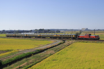 終焉近づく北陸本線を疾走するDD51-1109号機牽引のサロンカーなにわ_2023/11/4撮影