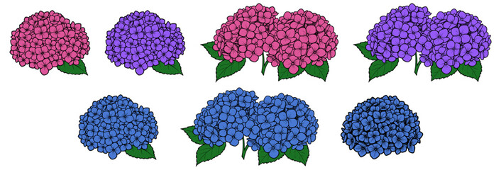 Vector Hydrangea flower bunch and bouquet