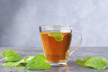 Aromatic lemon balm tea in glass cup and fresh leaves on gray textured table
