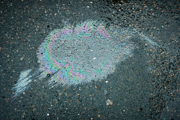 Multicolored gasoline spill crafting unique shapes on the wet pavement after the rain has fallen.