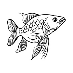 Fototapeta premium Detailed line art drawing of a goldfish for coloring page or graphic design silhouette