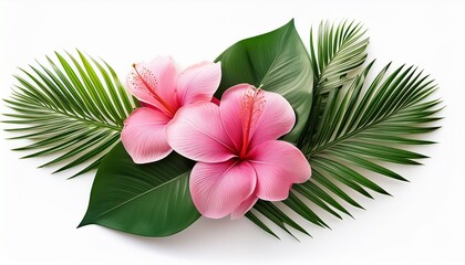 vibrant pink tropical flowers with lush green leaves isolated on white background