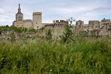 Obraz premium City walls of Avignon with blurred foreground in France in spring
