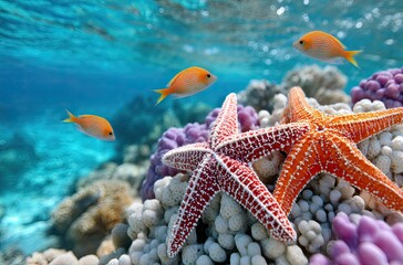 Beautiful coral reef with colorful fish and starfish, against a blue water background