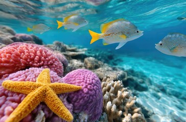 Beautiful coral reef with colorful fish and starfish, against a blue water background