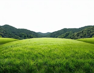 Fototapeta premium landscape grassland on transparent or white background